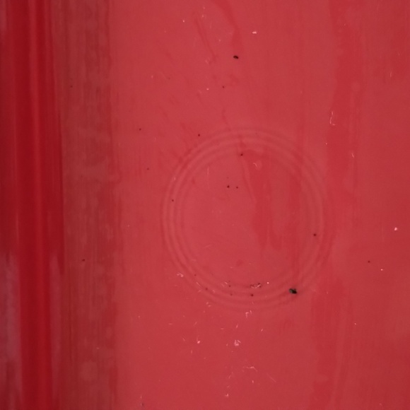 Fiesta Bread Tray - Picture 3 of 3